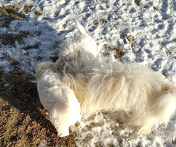 Abby's 2 boys at 1 week